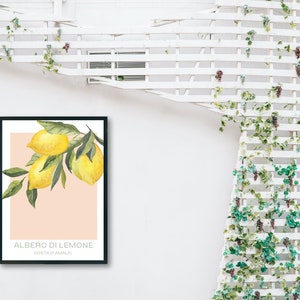 Op de afbeelding: Een ingelijst print met een aquarel-illustratie van een tak van een citroenboom met drie citroenen. De achtergrond is licht perzikkleurig. De tekst "ALBERO DI LIMONE" en "COSTA D'AMALFI" is onder de illustratie gedrukt.