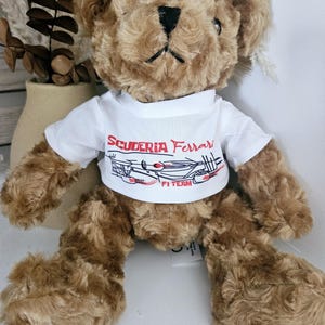 F1 - Formula One - Teddy Bear - McLaren - Mercedes- Ferrari- Aston Martin - Redbull - Williams - Hass - Merchandise - Gift - Birthday