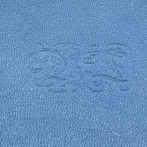 May include: A close-up of a blue leather-bound book. The cover has a textured surface and an embossed design in the center. The book's edges are visible, showing the pages and binding.