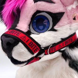 May include: Close-up of a furry, pink and white animal head with blue eyes and black accents. A red and black muzzle with the text "I BITE" is secured around the snout. The head has pink and black fur.