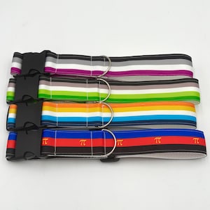 Peut inclure: Quatre colliers pour chiens avec boucles en plastique noir et anneaux en D en métal argenté. Chaque collier présente un motif à rayures de différentes couleurs : violet, vert, orange et rouge avec le symbole pi. Les colliers sont empilés.