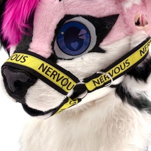 Muzzle Gag