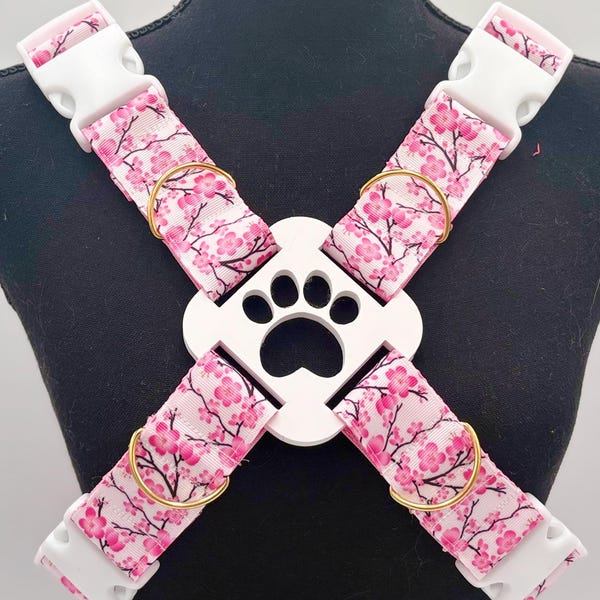 Sakura X Harness