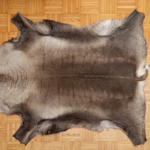 Reindeer Hide Rug | Natural Scandinavian Fur | Soft Fluffy Carpet | Nordic Wall Decor | Ethical Gift Idea