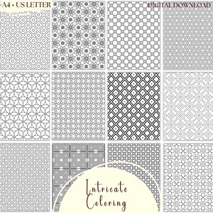 May include: A set of 12 printable coloring pages featuring intricate geometric patterns. Each page is designed in black and white on a white background. The pages are labeled "Intricate Coloring".