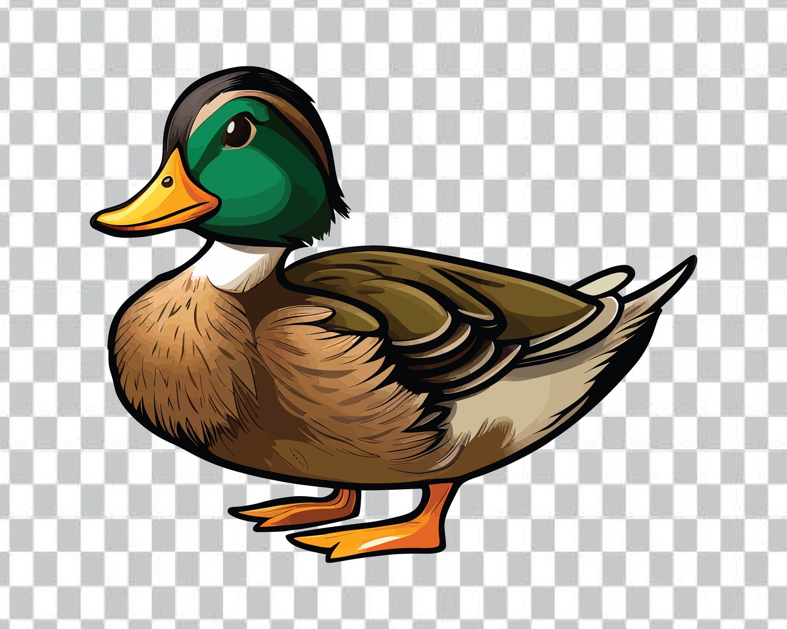 Mallard Duck Svg (Download Now) - Etsy