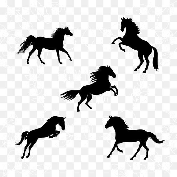 Horse Svg Horse Silhouette Bundle Svg Horse Silhouette - Etsy