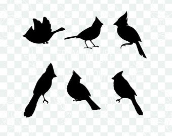 Silhouette de cardinal (SVG/PNG), Pack de silhouettes de cardinal (SVG), Silhouette de cardinal (SVG), Pack de silhouettes de cardinal (SVG), Silhouette de cardinal (SVG)