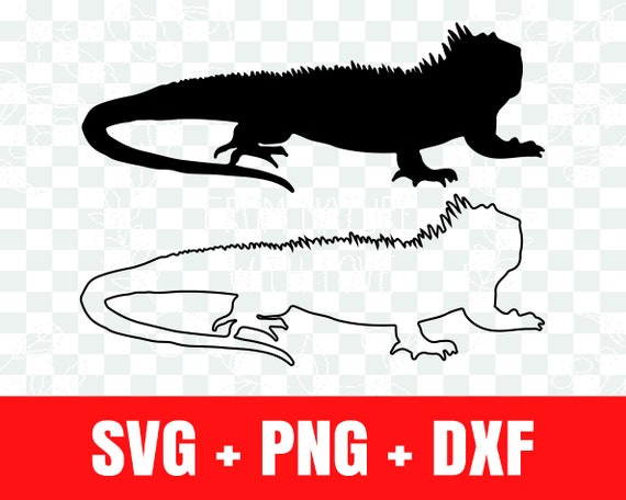 Iguana Svg Iguana Silhouette Svg Iguana Outline Svg - Etsy