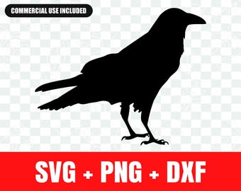 Raven svg ,Raven silhouette svg