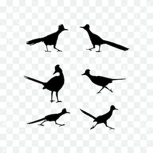 May include: Silhouettes of six roadrunner birds in various poses. The birds are facing different directions and have long tails and beaks.