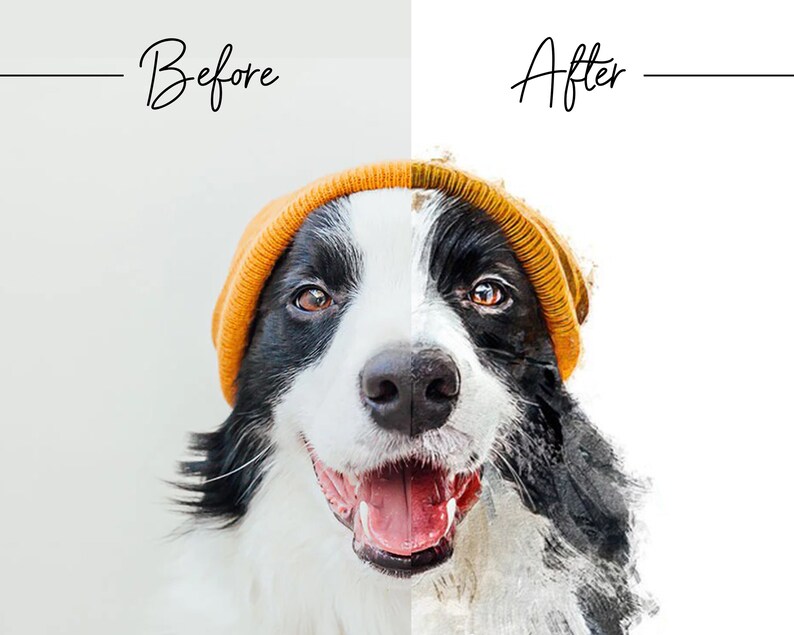 K&ouml;nnte beinhalten: Ein schwarz-wei&szlig;er Border Collie mit einer leuchtend orangefarbenen M&uuml;tze. Der Hund schaut direkt in die Kamera, mit offenem Maul und leicht herausgestreckter Zunge. Das Bild ist in der Mitte geteilt, die linke Seite zeigt den Hund in einem realistischeren Stil und die rechte Seite zeigt den Hund in einem abstrakteren, aquarellartigen Stil.