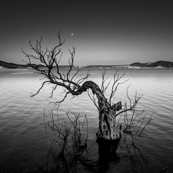 Fine Art Photography Etsy