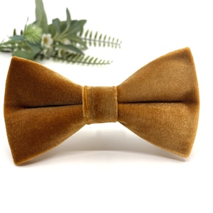 Gold Velvet Bow Tie: Wedding Groomsmen, Ring Bearer Outfit