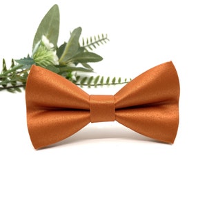 Burnt Orange Satin Bow Tie: Ringed Groomsman Style
