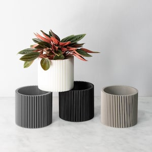 Set of 3 - flower pot FLORENCE XS - waterproof - perfect for cacti and succulents - 3D printing