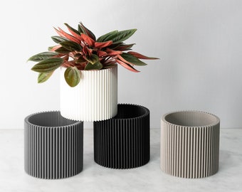 Set of 3 - flower pot FLORENCE XS - waterproof - perfect for cacti and succulents - 3D printing