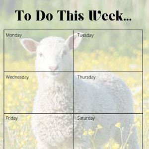 Sheep A4 Printable Weekly Planner