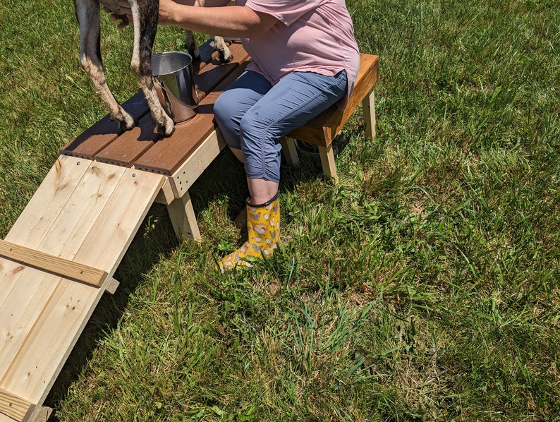 Goat Stanchion Ramp - Etsy