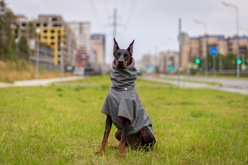 Doberman Custom Waterproof Raincoats Dog Spring Autumn Coat Etsy