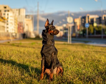Ready to Ship! Doberman Winter Dog Coat, Winter Jacket