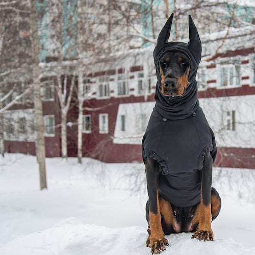 Pet Gift Dobermann Coat Pet Dog Winter Jacket Fall Rainy Weather