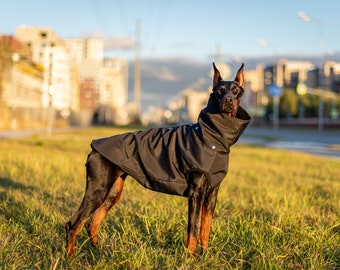 Dog Coats Doberman Winter Clothes Doberman Pinscher Winter Dog
