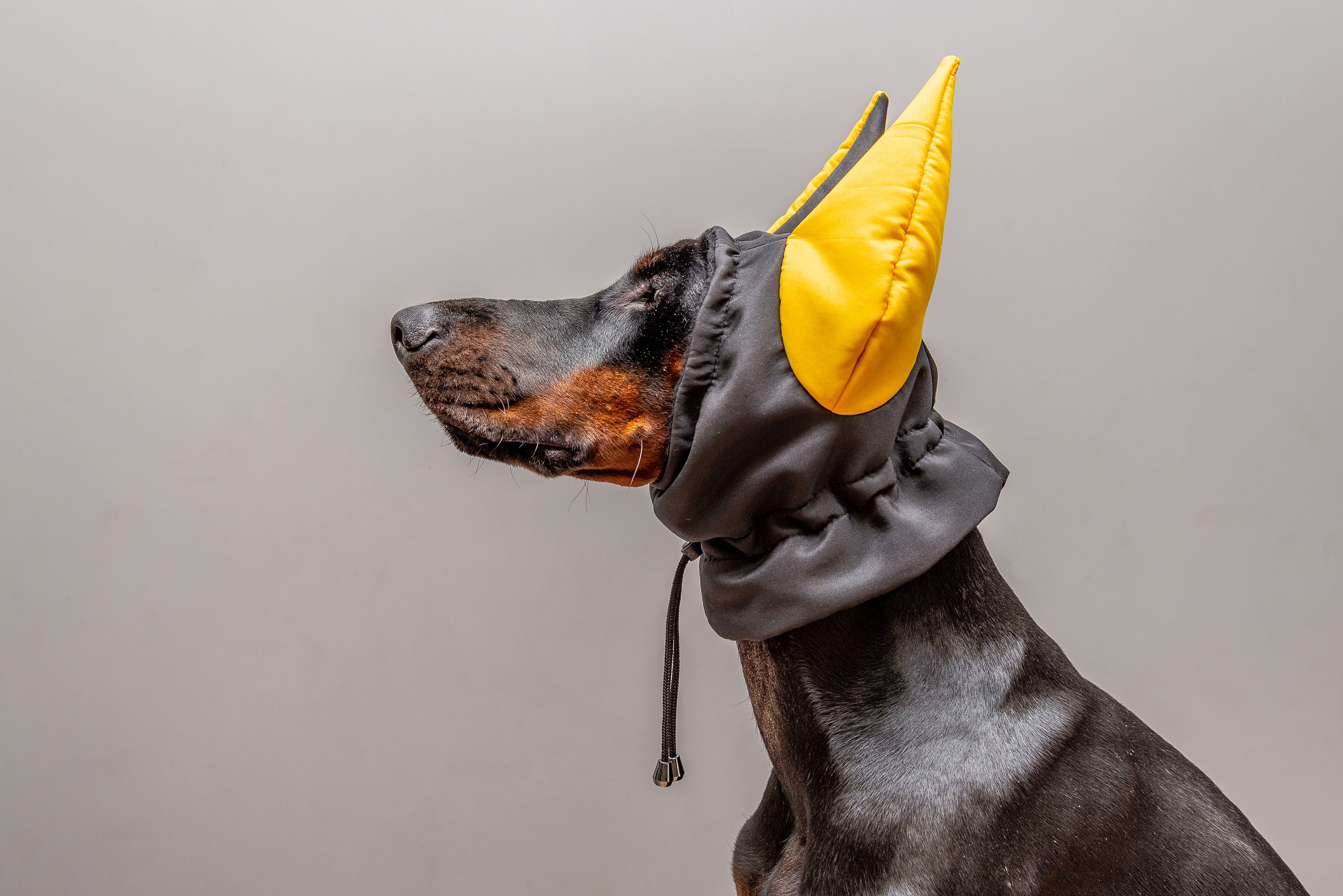 Doberman winter hat hotsell