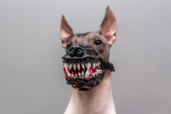 Halloween muzzle hotsell