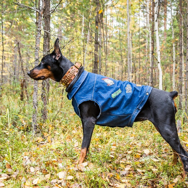 Denim dog vest Denim jacket patched Jeans dog vest Cropped denim jacket Denim dog coat Embroidered denim dog jumper/coat Blue denim vest dog