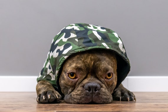 Camouflage Custom French Bulldog Waterproof Raincoats Dog Autumn Coat Frenchies Fall Waterresistant Coat Rainy Weather Jacket Vest With Hood Etsy Canada