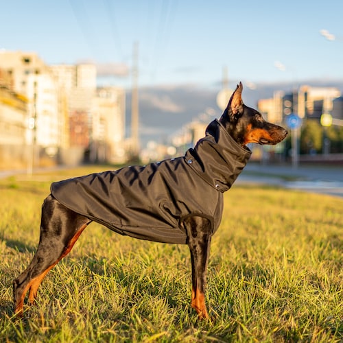 Doberman Pinscher Winter Dog Coat Winter Jacket Custom Etsy