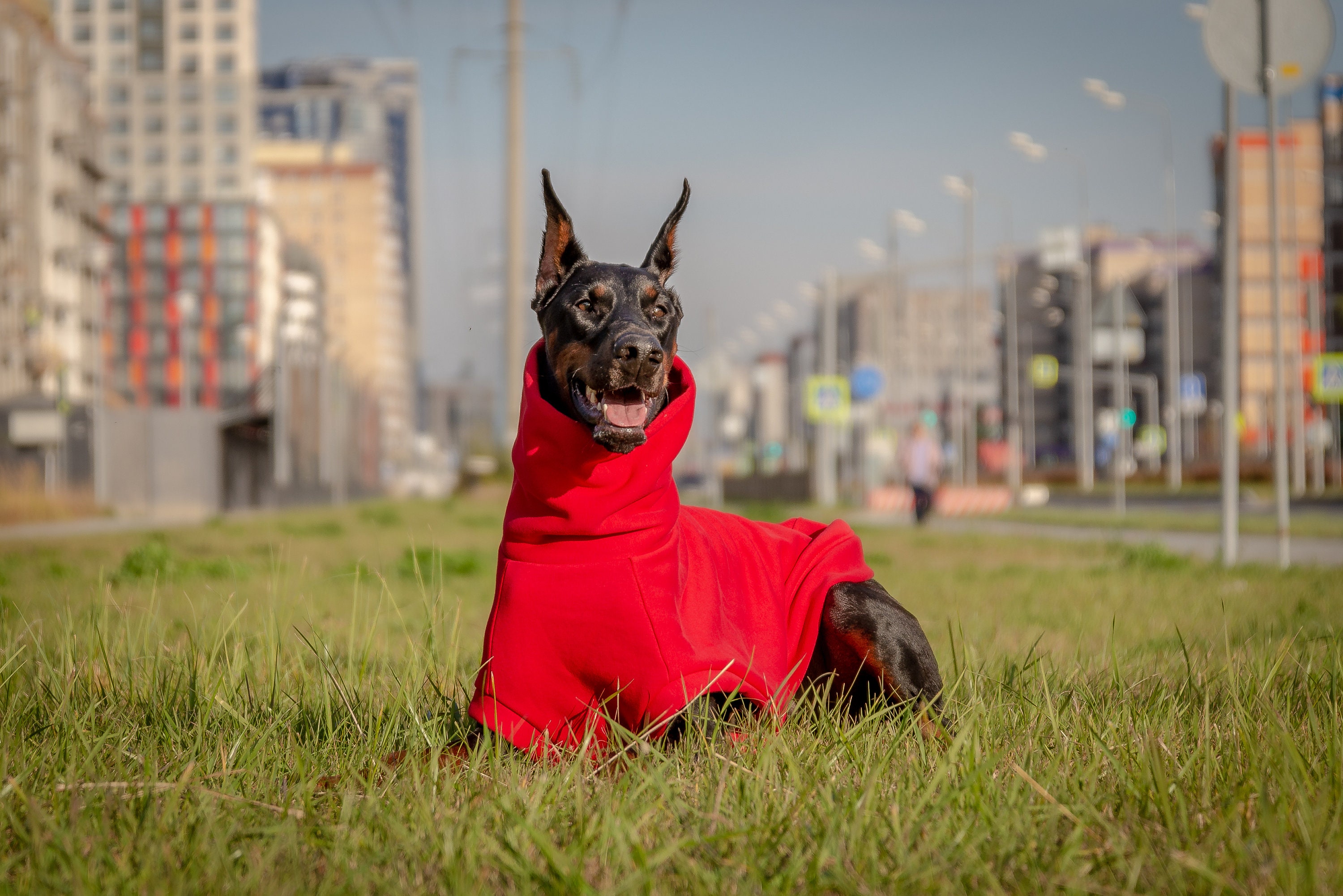Doberman Custom Red Hoodies Pitbull Hoodie Frenchies