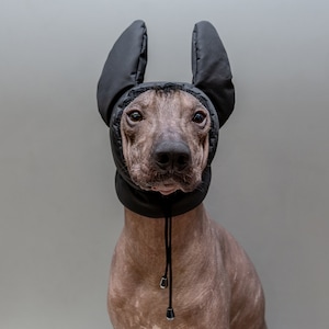 Custom Xolo Winter Fleece Hat Handmade Hat Winter Dog Ear Warmer Dog CUSTOM-MADE Hood Dog Fleece Warmer Fleece Hat Xoloitzcuintli Scarf