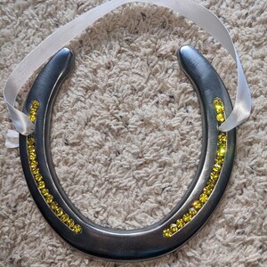 Polished Horseshoes