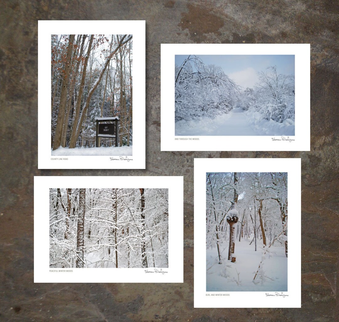 Photo Greeting Cards 5x7 Set of 4 Snow Lovers Photo Art Cards Winter ...