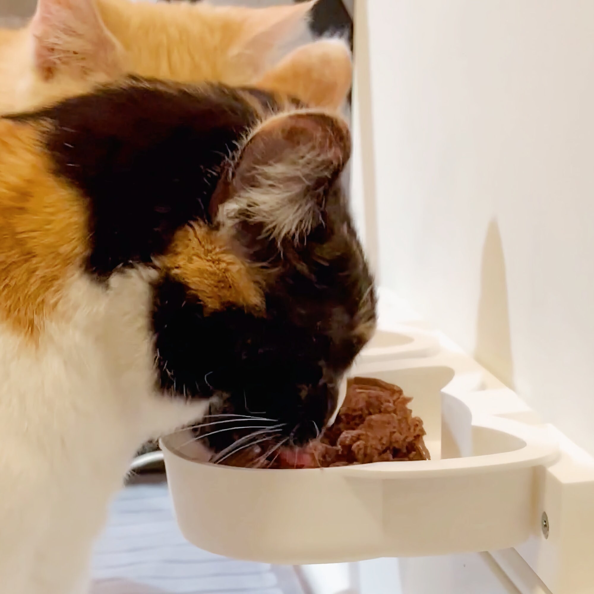 Kitty Kafé™ Cute Cat Wall Mounted Bowls Elevated Cat Bowls Etsy