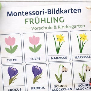 Op de afbeelding: Een Montessori leerset met lente-thema illustraties. De kaarten tonen afbeeldingen van tulpen, narcissen, krokussen en sneeuwklokjes. Het woord "FRÜHLING" staat in groene letters, met "Vorschule & Kindergarten" eronder.