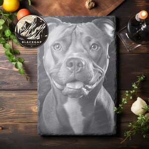 American Pittbull - Pitbull Laser Files - Laser Images