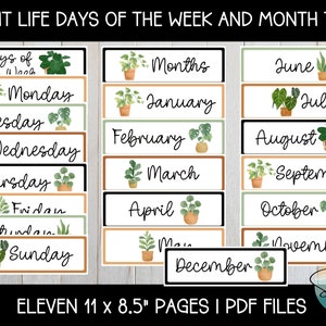Plant Life Days and Months Display, Days of the Week Display, Months of the Year Display, Modern Boho Plants Classroom Decor