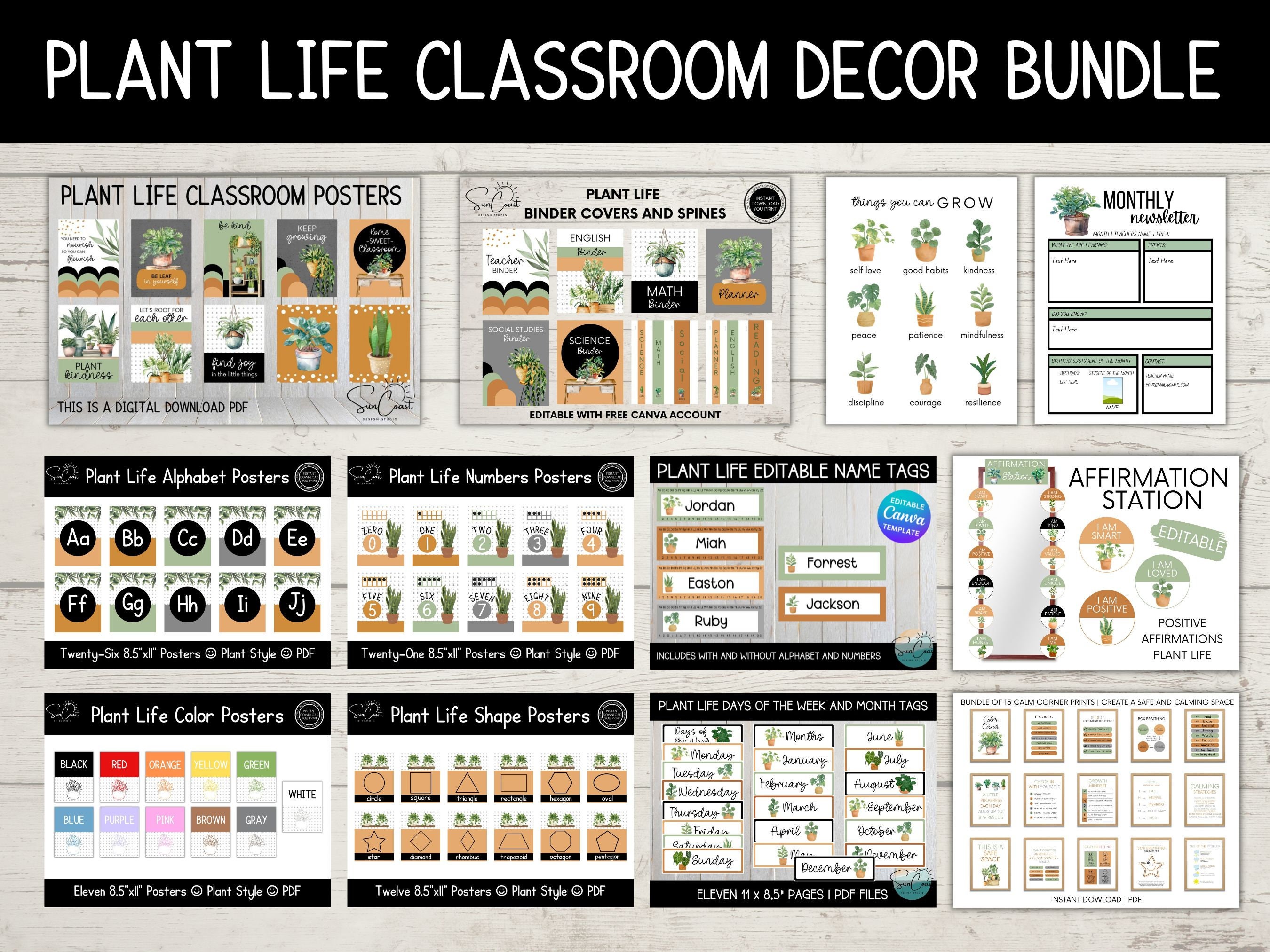 Boho Plants Classroom Decor Bundle | Rustic Modern Boho Decor - Etsy