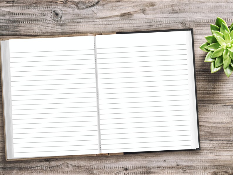 May include: An open lined notebook with a black cover on a wooden surface. A green succulent plant is in the upper right corner of the image.