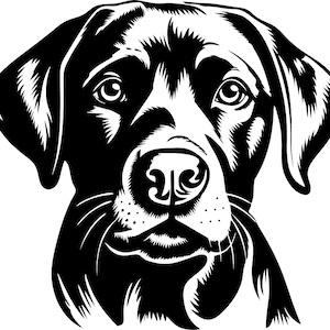 DIGITALE Labrador Face file vettoriale clipart, download immediato, file di taglio, labrador svg