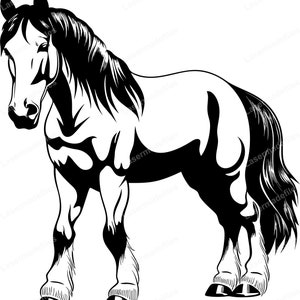 May include: A black and white illustration of a horse. The horse is depicted in a standing position, with its head turned slightly to the left. The mane and tail are long and flowing. The horse has a muscular build and is wearing horseshoes.
