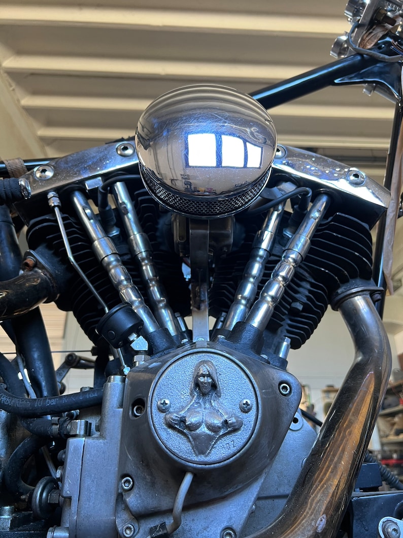 HARLEY DAVIDSON Timing Cover Fits Evolution, Shovelhead, Sportster