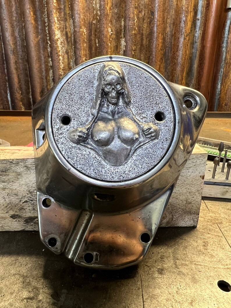 HARLEY DAVIDSON Timing Cover Fits Etsy