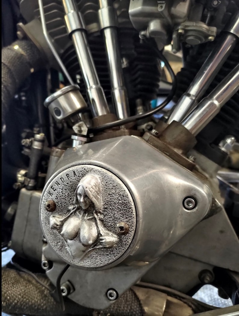 HARLEY DAVIDSON Timing Cover Fits Evolution, Shovelhead, Sportster