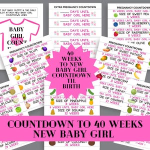 May include: A collection of pink and white pregnancy countdown cards. The cards display text such as "Baby Girl Countdown" and "Countdown to 40 Weeks New Baby Girl." Each card details weeks until birth and fruit sizes.