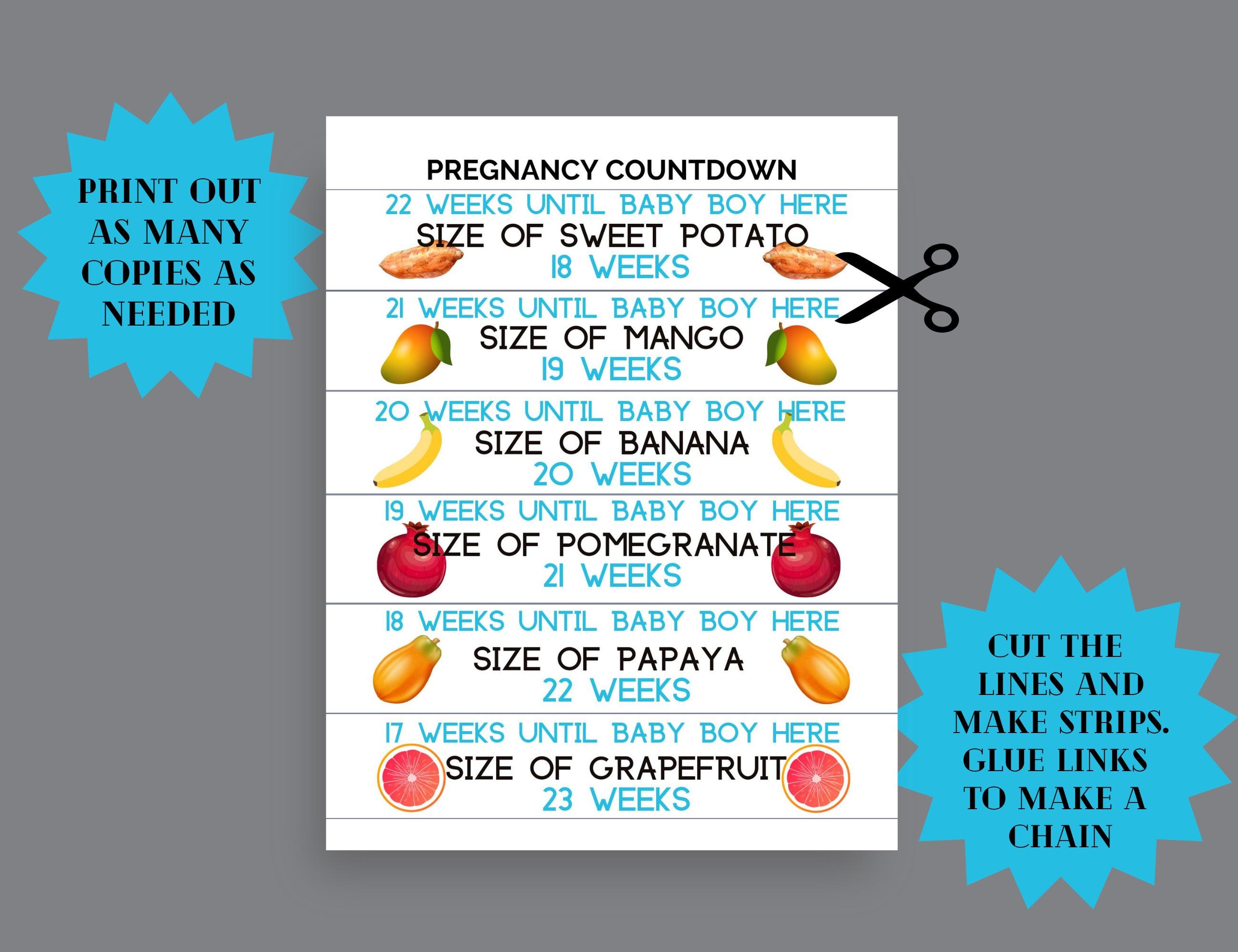 Baby Boy Pregnancy Countdown Chain: 40 Weeks (digital Download) - Etsy