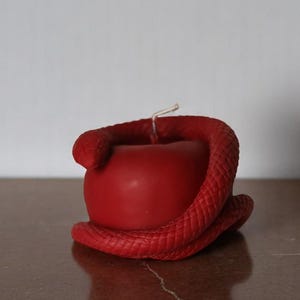 Snake Apple Candle - Animal Candle - Halloween and Autumn Decor - Gift for Reptile Lovers - Spooky Candle Decor - Whimsical Gift Idea